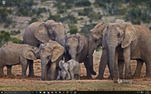 Windows10-Desktop.png