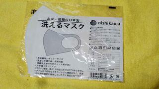 nishikawa-mask-1.jpg