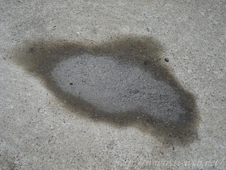 DSC04274.jpg