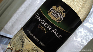 GINGER-ALE-DRY.jpg